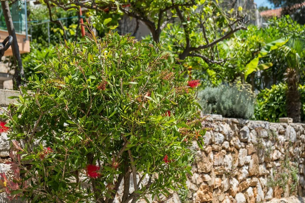 Villa Magnolia Mali Lošinj Apartamento